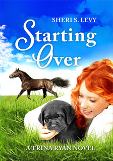 Starting Over
